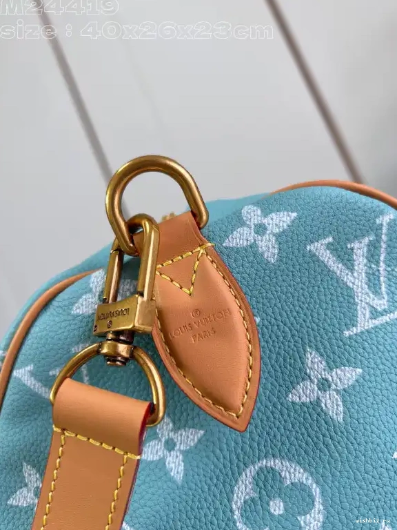 WIS SPEEDY Louis Vuitton 40 0704